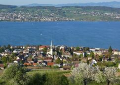 See top driving schools in Wädenswil